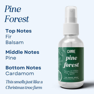 Mini Travel Room Spray Set – 4 Pack of Portable Fresheners | Linen & Room Mist for Home, Car, Luggage & On-the-Go