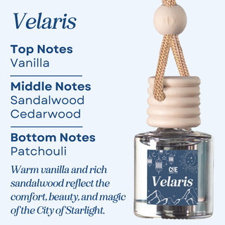 Bookish Scented Car Freshener - Long Lasting - Air Car Diffuser