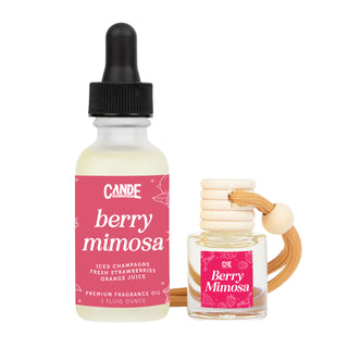 Car Freshener & Refill Bundle