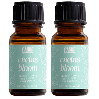 Scented Premium Fragrance Oil Multi Pack - Long-lasting Fragrance for Home