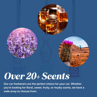 Car Freshener & Refill Bundle Vehicle Air Fresheners CE Craft