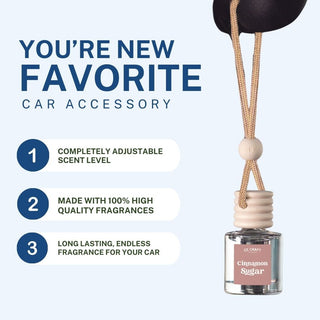 Cinnamon Sugar Scented Car Freshener Vehicle Air Fresheners CE Craft