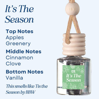 Scented Car Air Freshener Vehicle Air Fresheners CANDECraftCo It's The Season