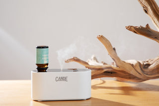 Waterless Fragrance Oil Diffuser Gift Set CANDECraftCo