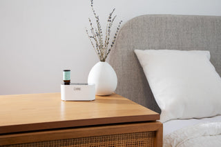 Waterless Fragrance Oil Diffuser Gift Set CANDECraftCo