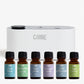 Waterless Fragrance Oil Diffuser Gift Set