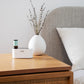 Waterless Fragrance Oil Diffuser Gift Set
