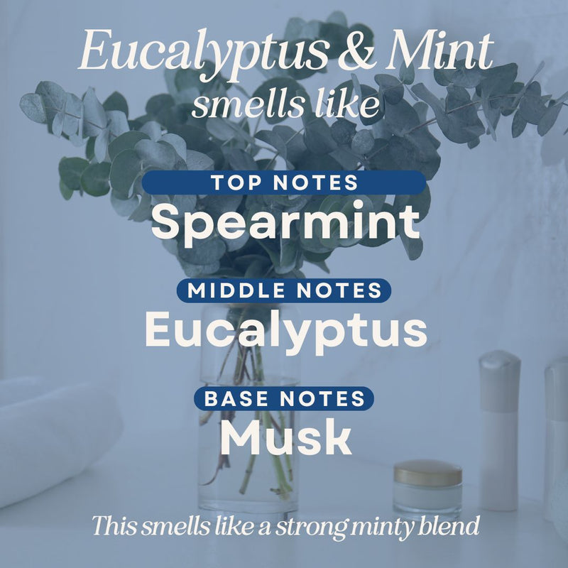 Eucalyptus & Mint scent notes: top, middle and base notes