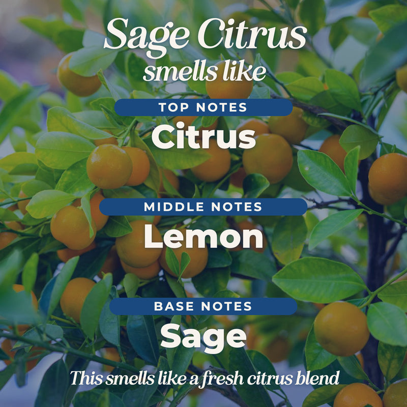 Sage Citrus scent notes: top, middle and base notes
