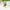Forbidden Romance Candle C & E Craft Co 